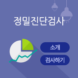 정밀진단검사